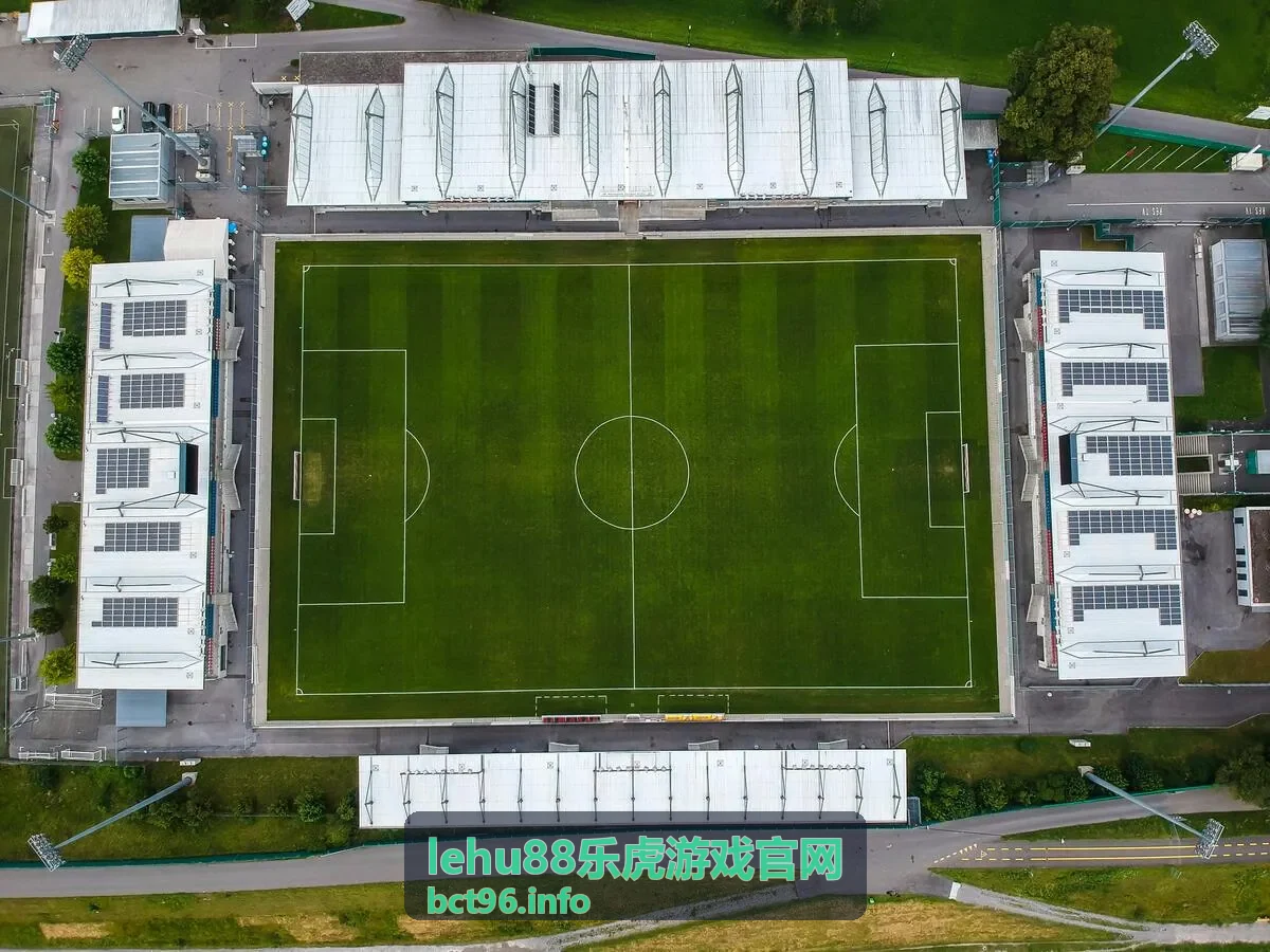 lehu88乐虎玩法指南封面图